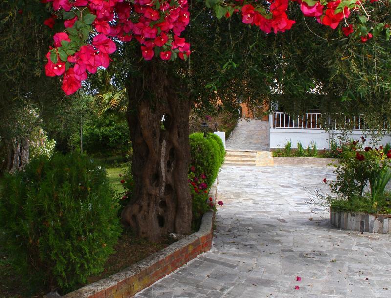 Tina Hotel Limni  Bagian luar foto